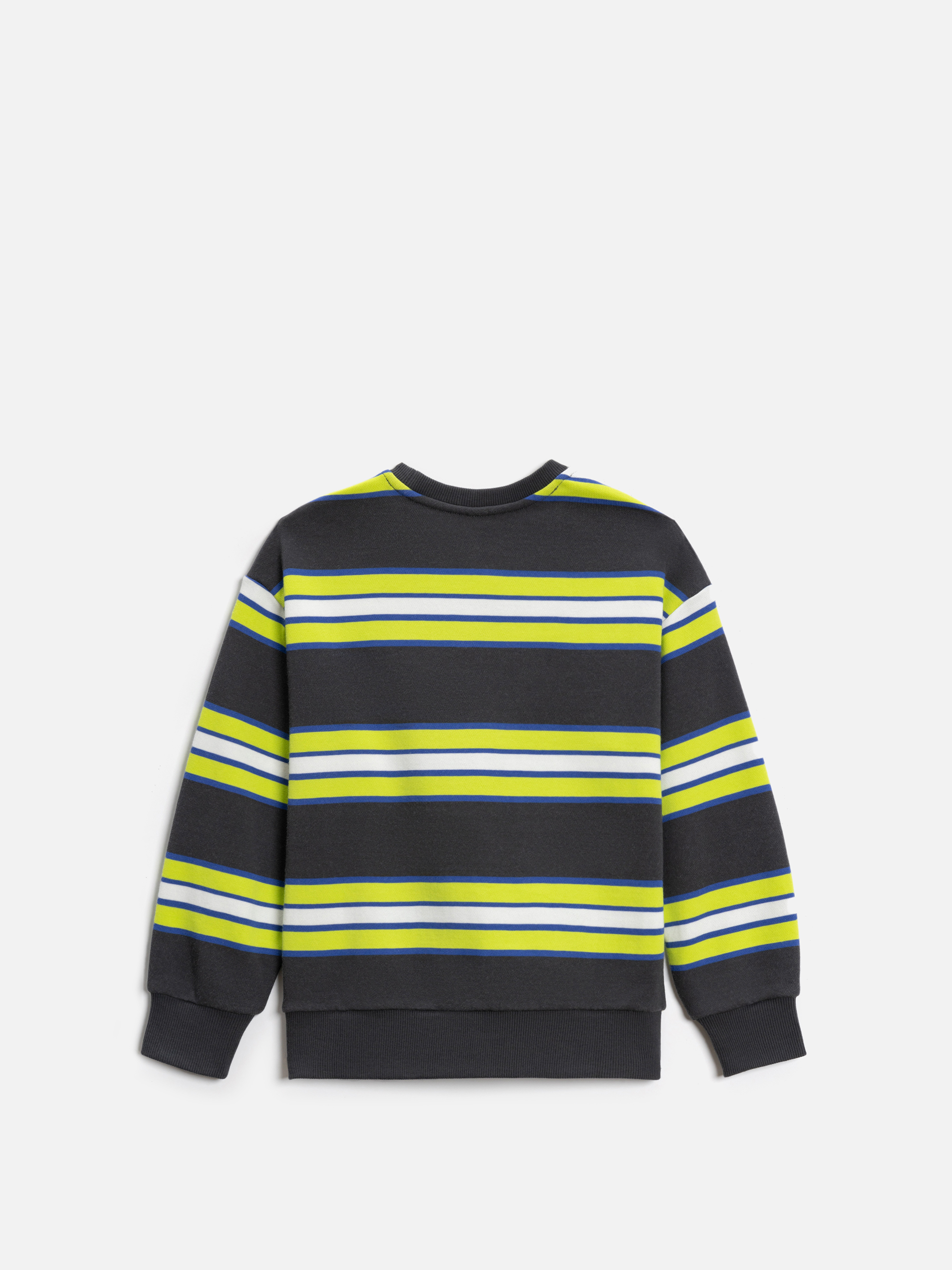 Свитшот Acoola 20120170190_0089480 - фото 6