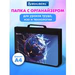 Папка для труда Brauberg А4