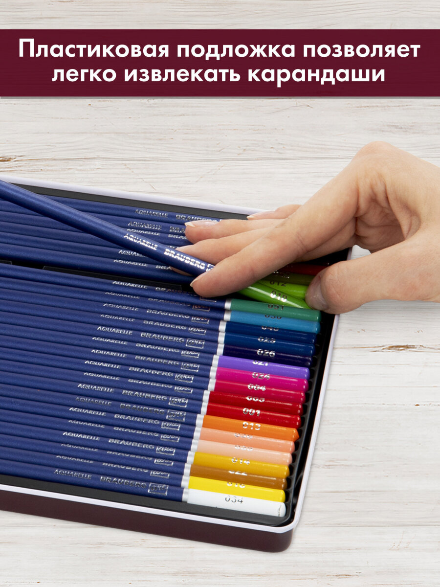 Карандаши акварельные Brauberg 24 шт. - фото 7