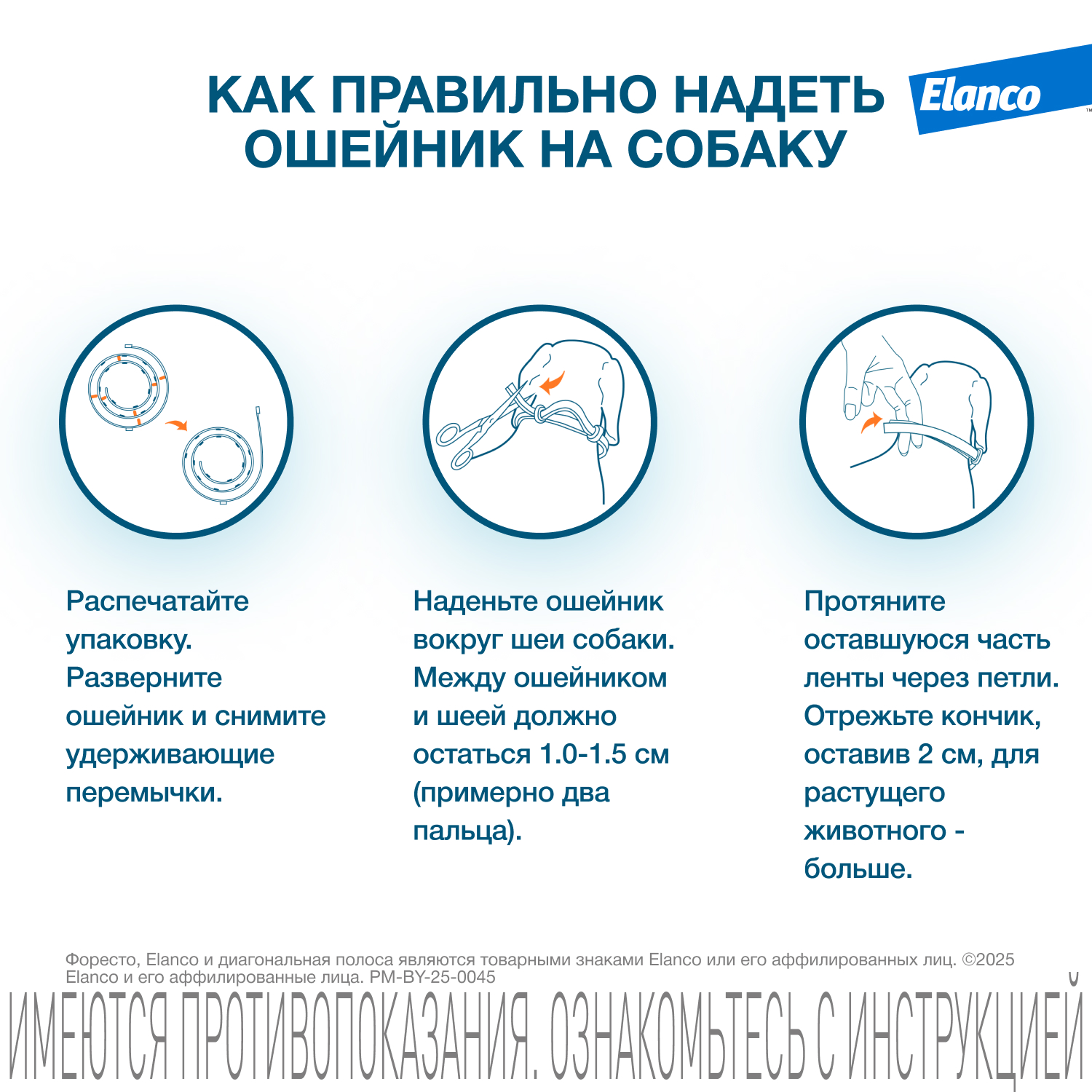 Ошейник для собак Elanco Foresto более 8кг от блох и клещей защита 8месяцев 70см 65494 - фото 13