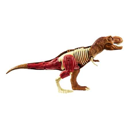 Наглядное пособие Jurassic World