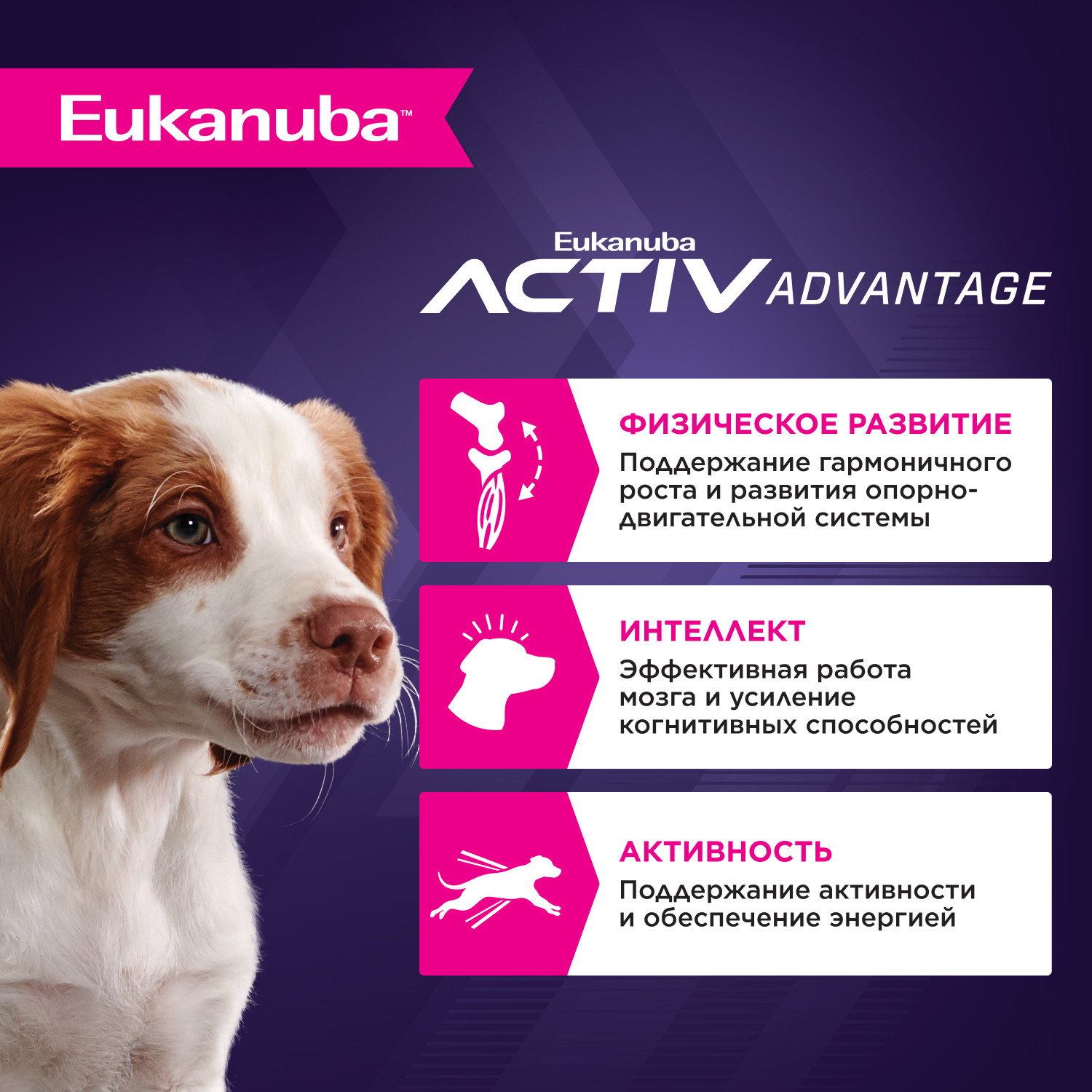 Корм Eukanuba Dog 3кг для щенков средних пород сухой с птицей - фото 2