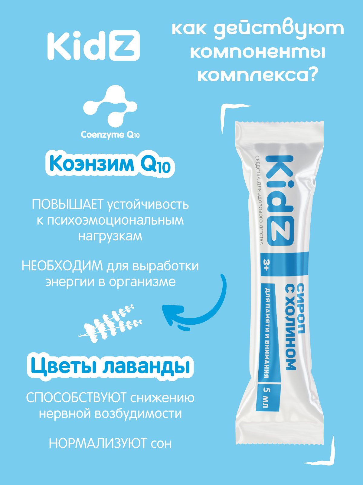 Сироп с холином Kidz витамины для внимания и памяти для детей стик №10 - фото 3