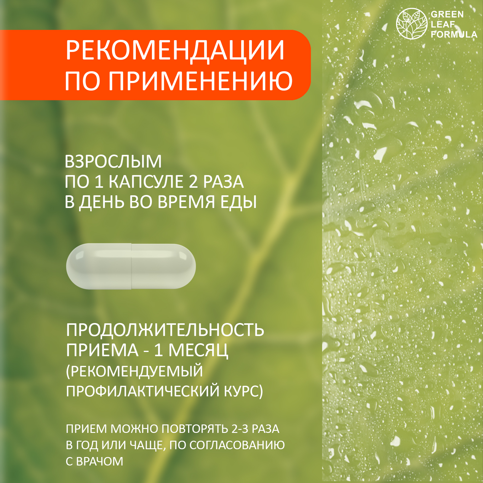 Набор для энергии и выносливости Green Leaf Formula работоспособность L-тирозин йод метабиотик L-карнитин - фото 18