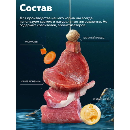 Корм влажный Зоогурман HOLISTIC Ягненок с рисом и овощами, 100 г х 12 шт