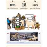 Игровой набор Masai Mara На ферме