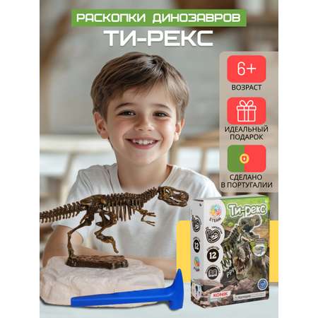 Набор для раскопок KONIK Science