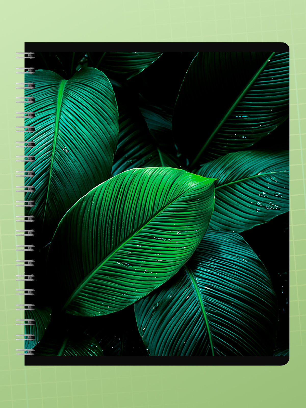 Тетрадь AXLER клетка 96 лист. 4 шт. - фото 8