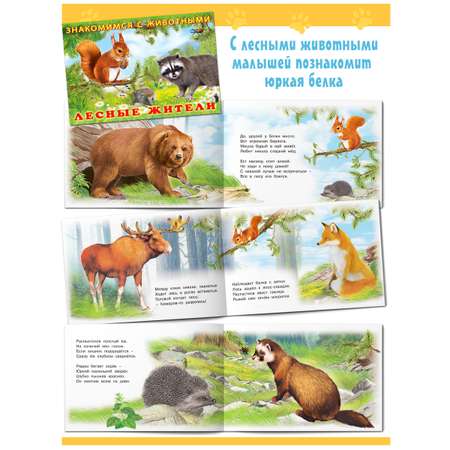 Книга Фламинго Познавательные стихи И. Гуриной для детей и малышей Знакомимся с животными