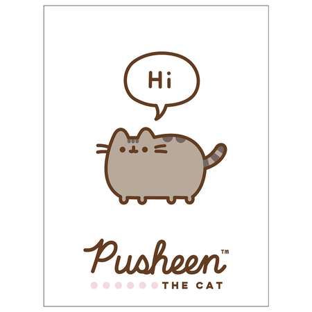 Блокнот Pusheen 40 лист. в ассортименте