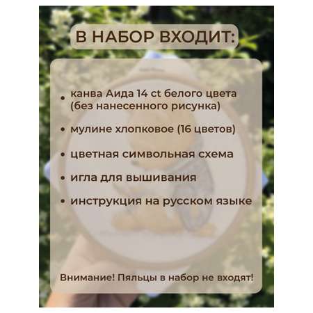 Набор для творчества ANDRIANA вышивание