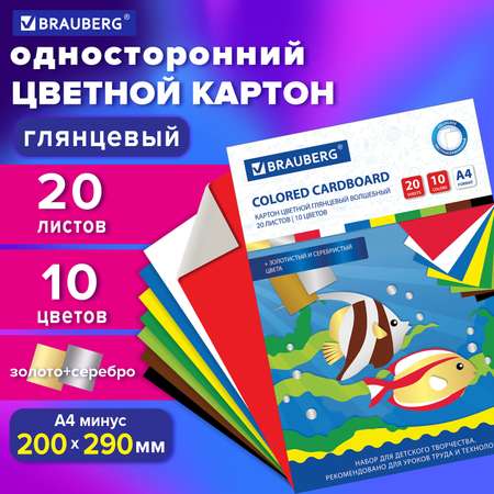 Цветной картон Brauberg 20 лист.