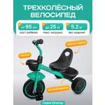 Трехколесный велосипед Velobibi 10 дюймов