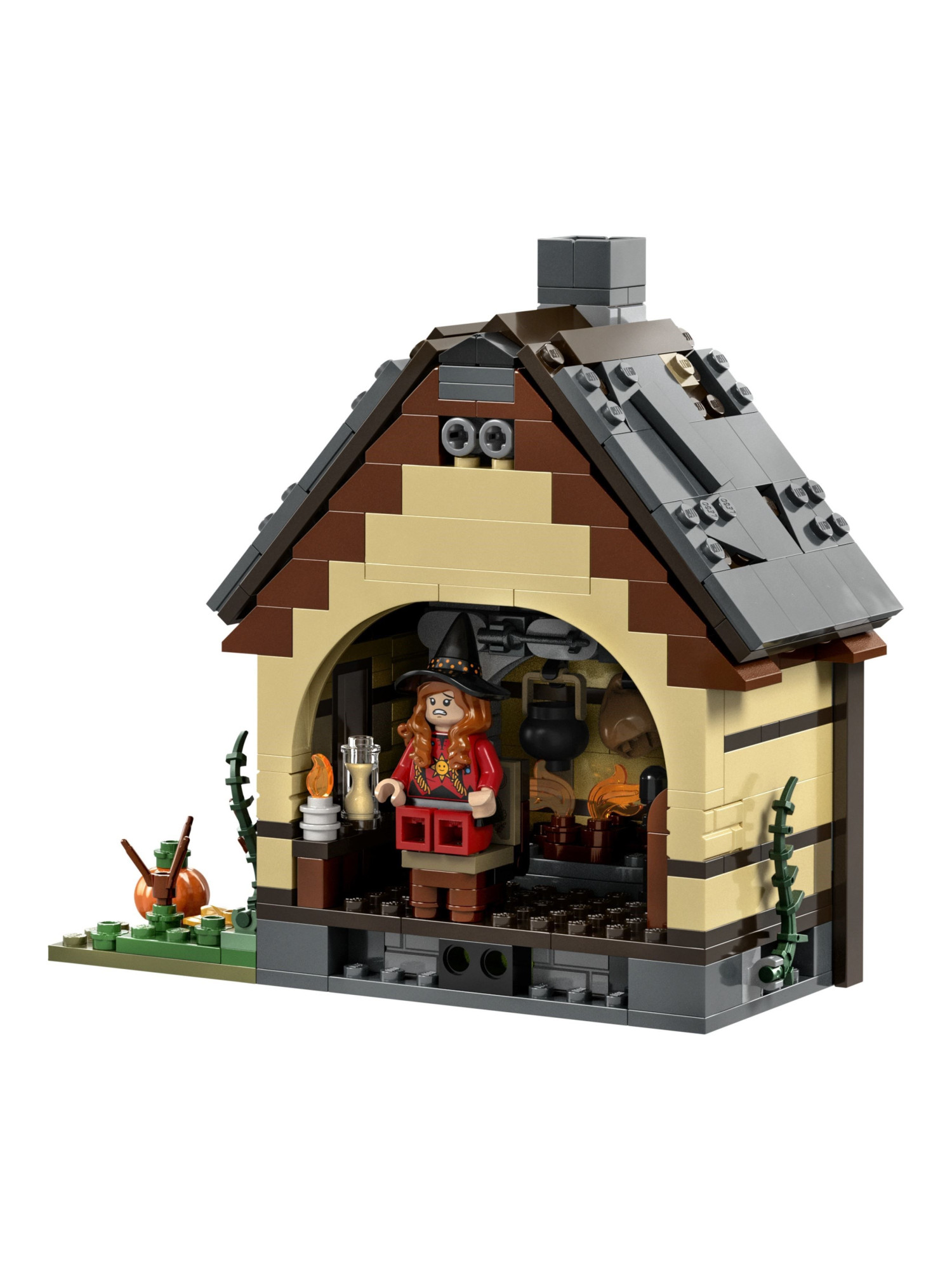 Конструктор LEGO Ideas Коттедж сестер Сандерсон 2316 дет. - фото 6