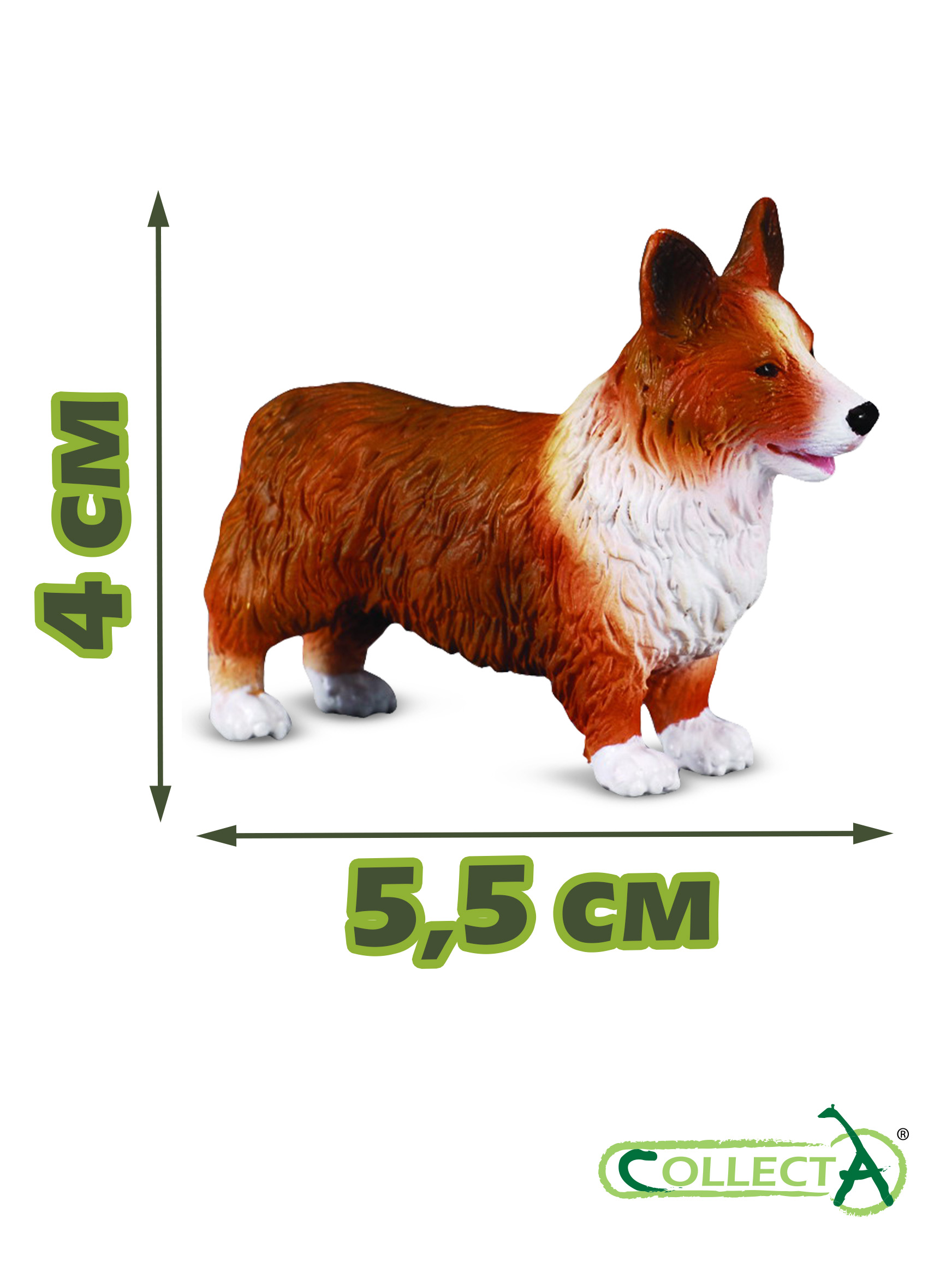Фигурка Collecta Собака Корги - фото 2