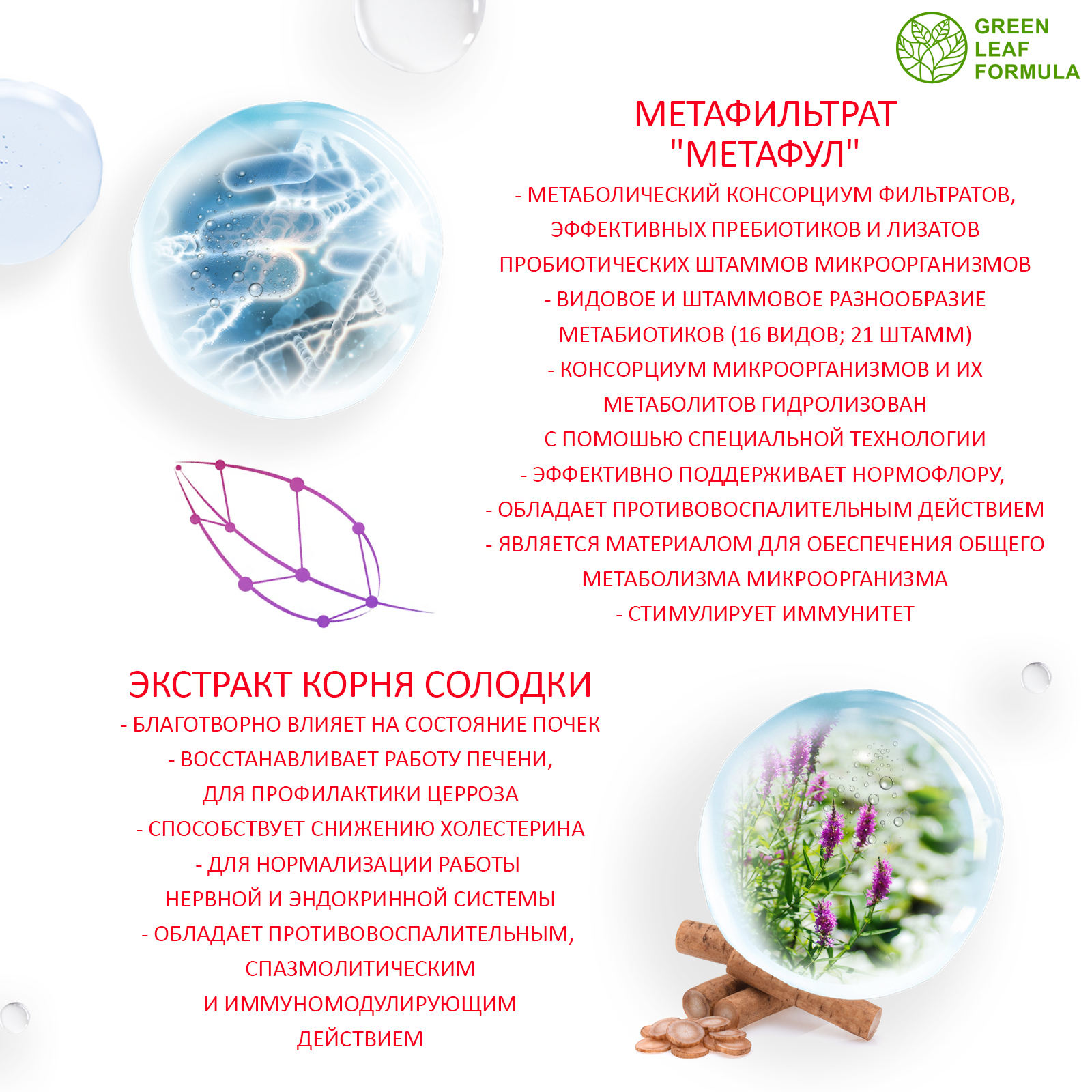 Метабиотик для восстановления микрофлоры Green Leaf Formula для желудка кишечника пищеварения - фото 5