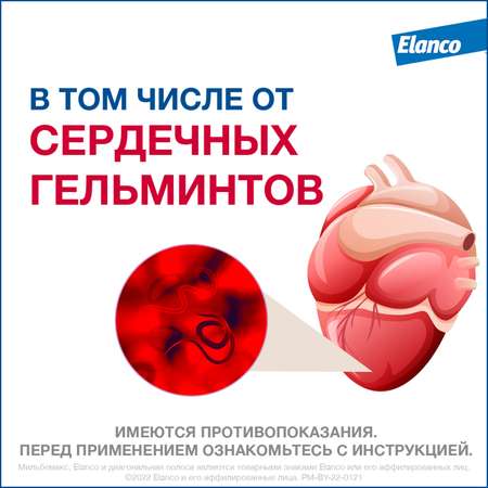 Антигельминтик для щенков и собак Elanco Мильбемакс малых пород 2таблетки