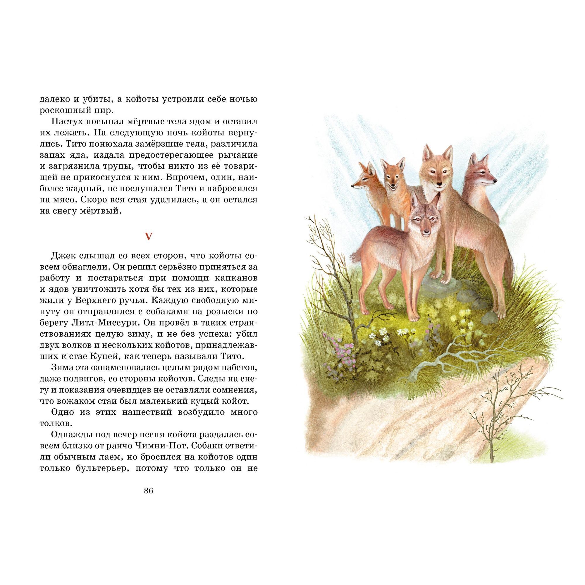 Книга Махаон Рассказы о животных - фото 11