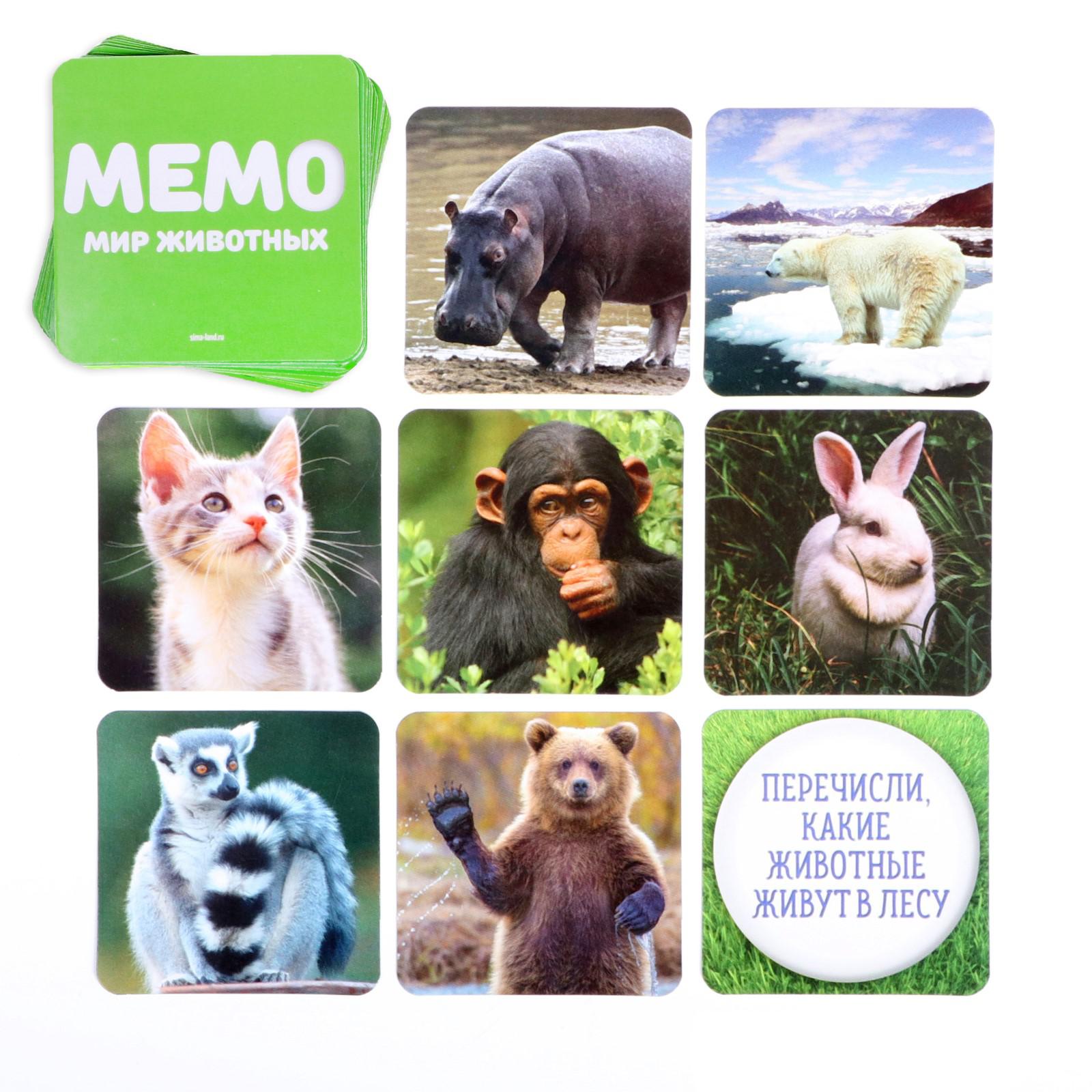 Настольная игра Лас Играс Мемо - фото 5