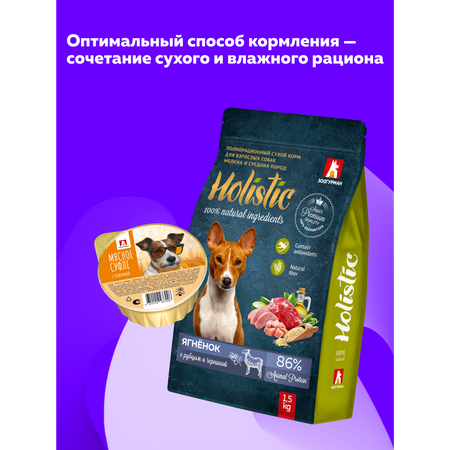 Корм влажный Зоогурман Мясное суфле с телятиной 100 гр х 20 шт