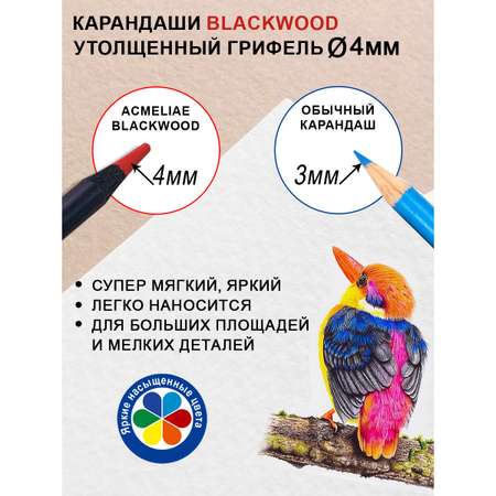 Карандаши цветные ACMELIAE 72 шт.