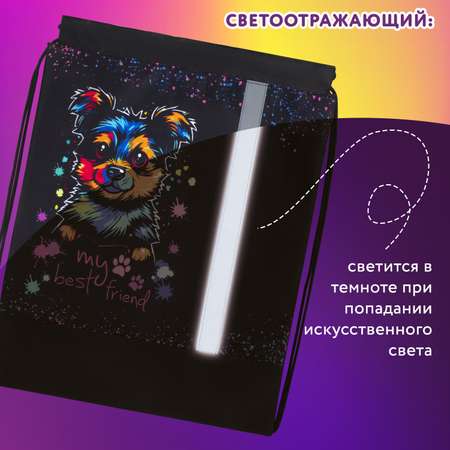 Мешок для обуви Юнландия