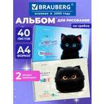 Альбом Brauberg А4 40 лист. 2 шт.
