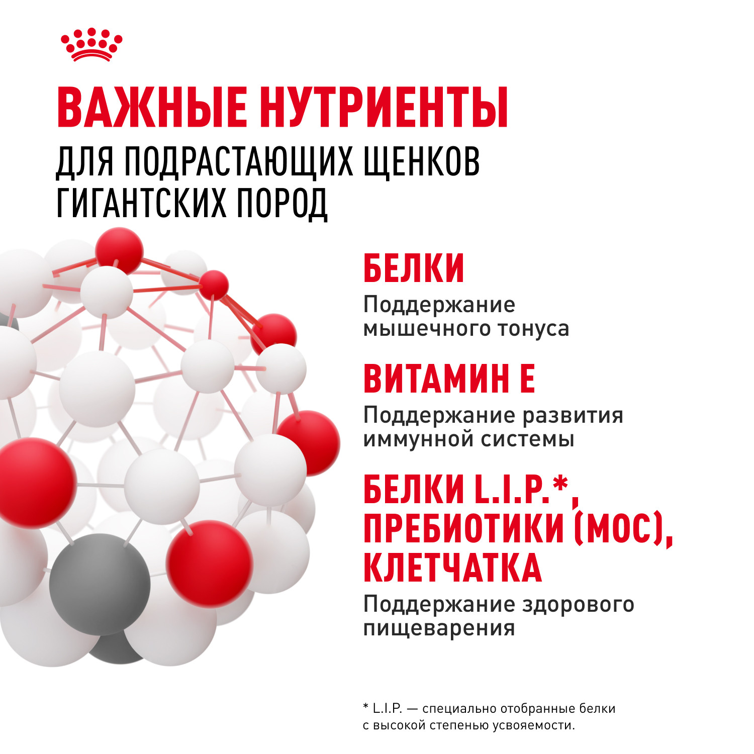 Корм для щенков ROYAL CANIN гигантских пород 8-24месяцев 15кг - фото 5