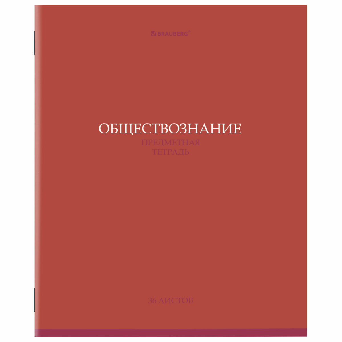 Тетрадь Brauberg 36 лист. 13 шт. - фото 19