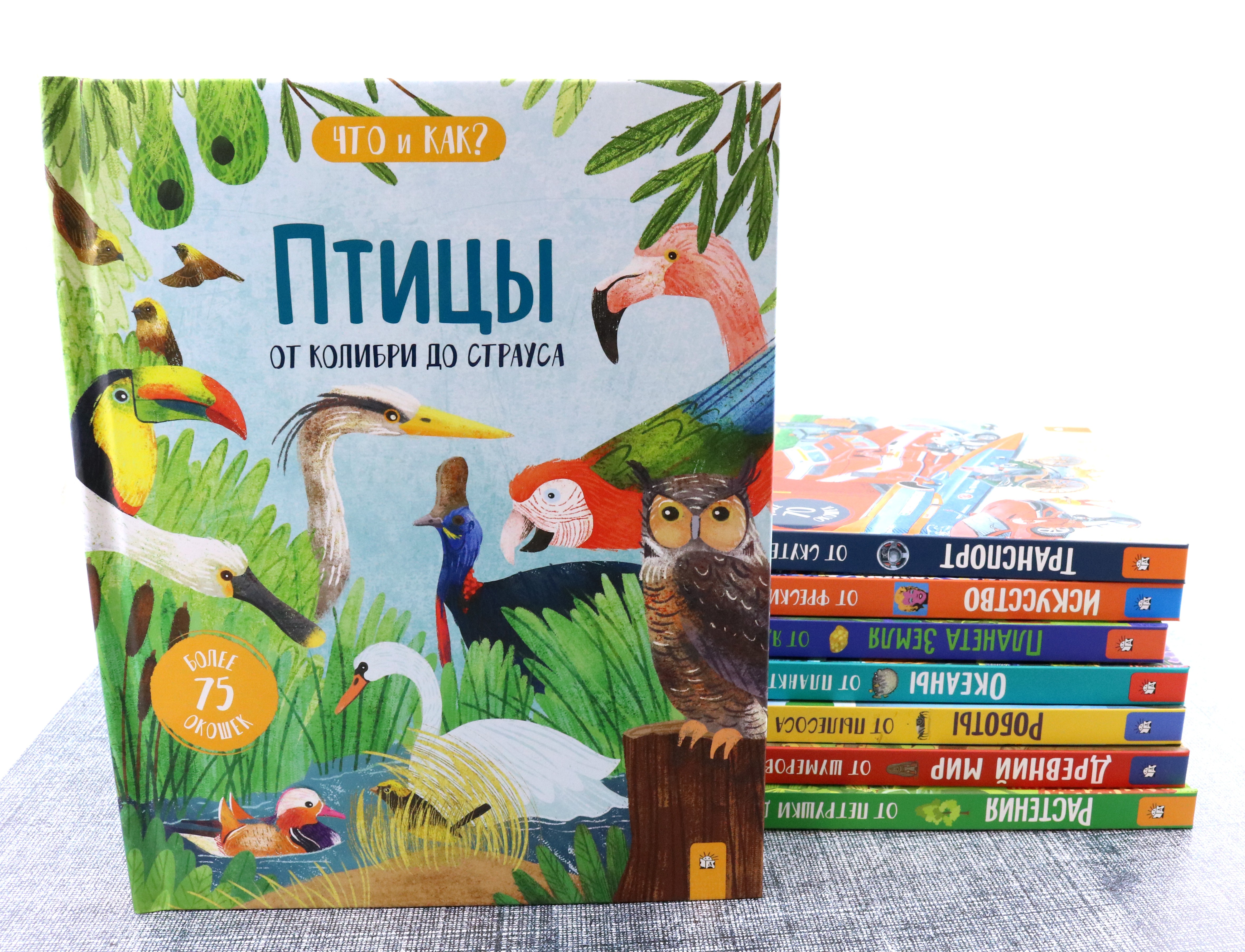 Книга Лабиринт Птицы От колибри до страуса - фото 4