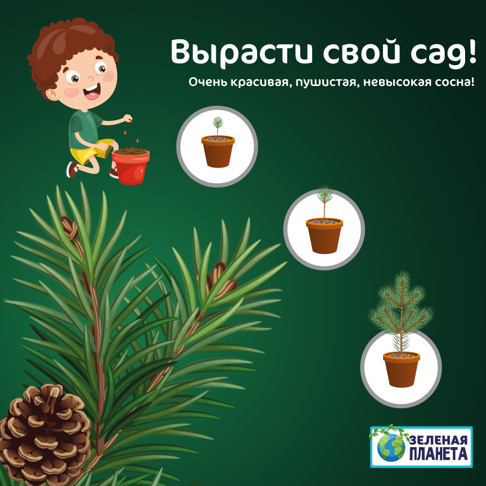 Набор для выращивания ЗЕЛЕНАЯ ПЛАНЕТА - фото 5