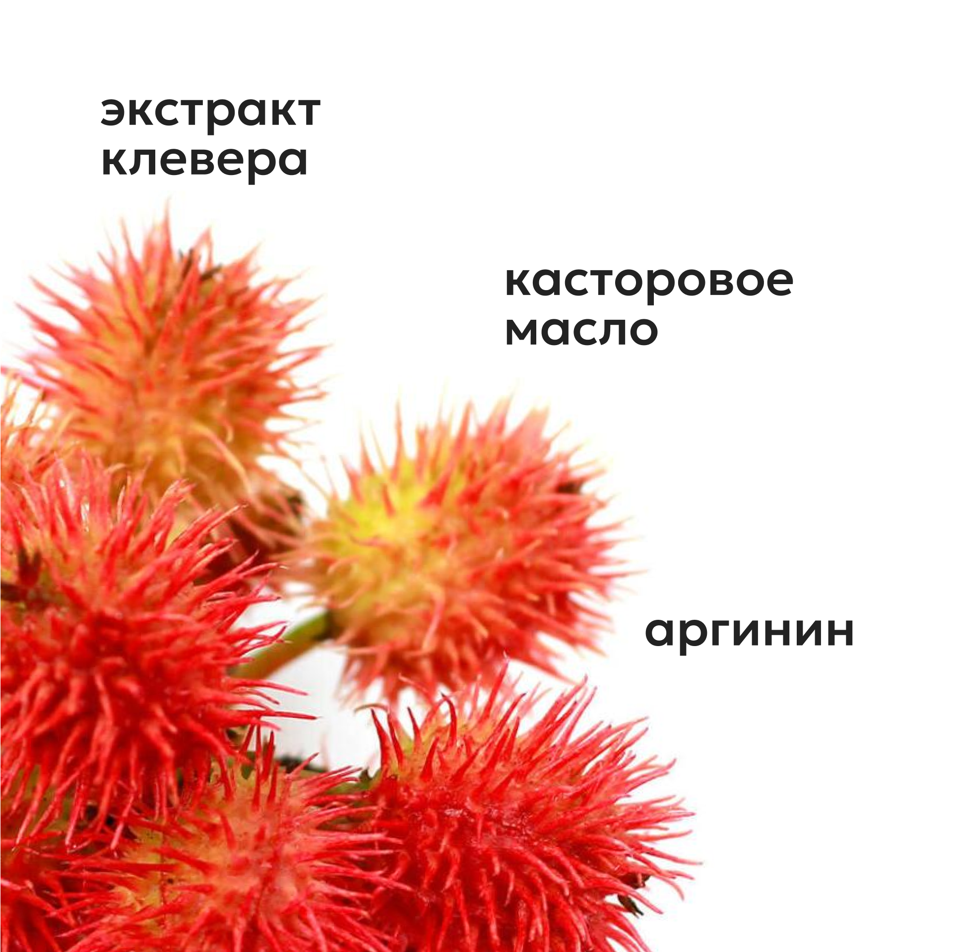 Сыворотка Likato Professional 10 мл - фото 5