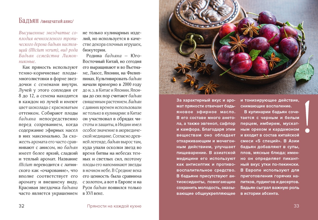 Книга КОЛИБРИ Дараган Сущова М Праздник как по нотам Специи и пряности Высокая кухня - фото 13