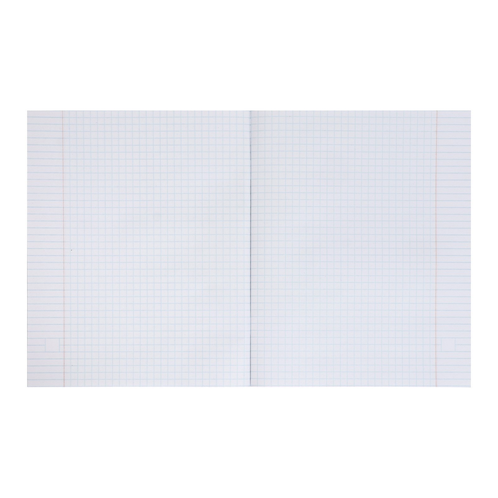 Тетрадь Calligrata (Алгебра) - фото 3