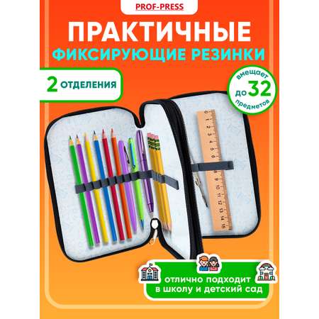 Пенал книжка Prof-Press