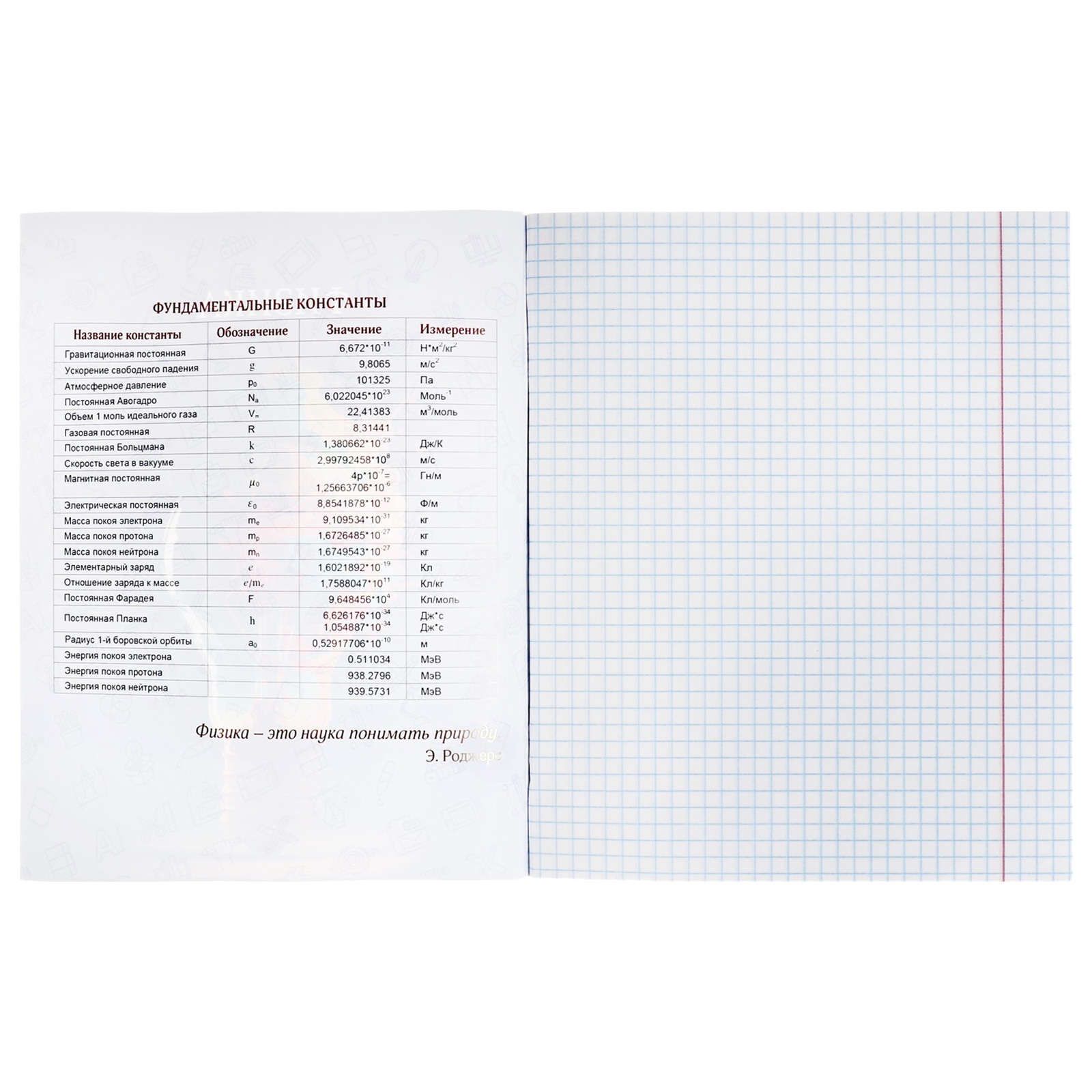 Тетрадь Calligrata - фото 5