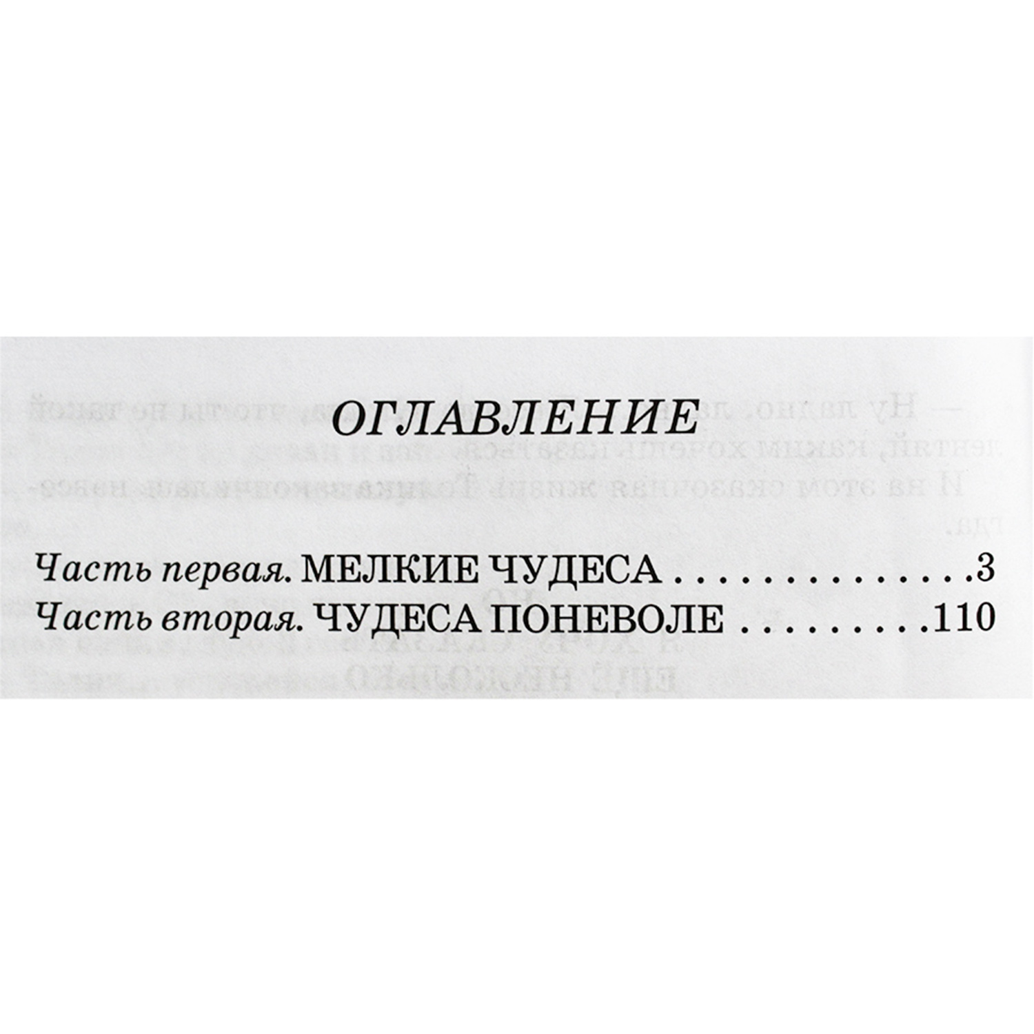 Книга Искатель Шёл по городу волшебник - фото 4