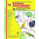 Карточки ТЦ Сфера Птицы домашние и декоративные