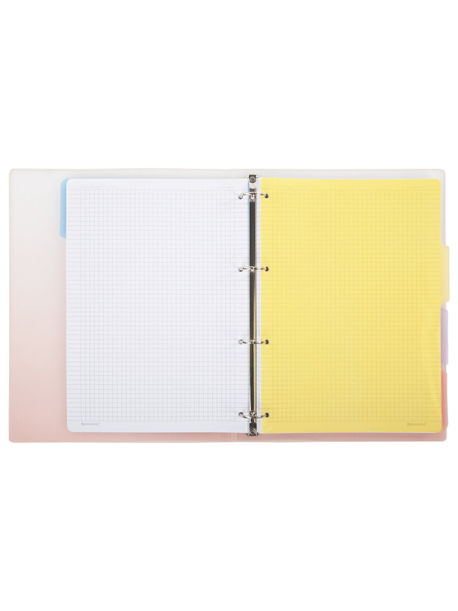 Тетрадь со сменным блоком Brauberg клетка 120 лист. - фото 11