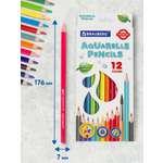 Карандаши акварельные Brauberg 12 шт.