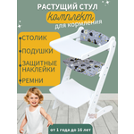 Стульчик для кормления Babystul трансформер