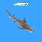 Фигурка Collecta Рифовая акула