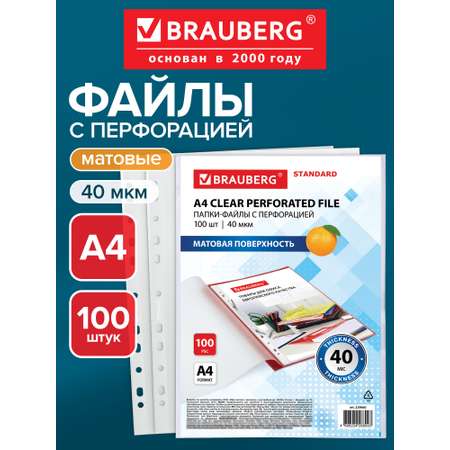 Файл Brauberg А4