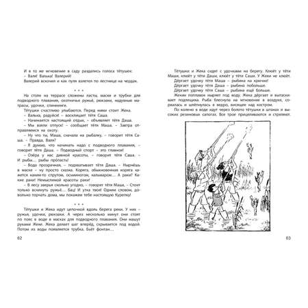 Книга ЭНАС-книга Пропало лето