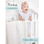 Плед Baby Nice Termosoft велсофт 100 x 140 см