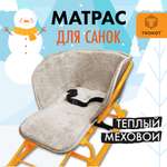 Матрас для санок ТРОКОТ