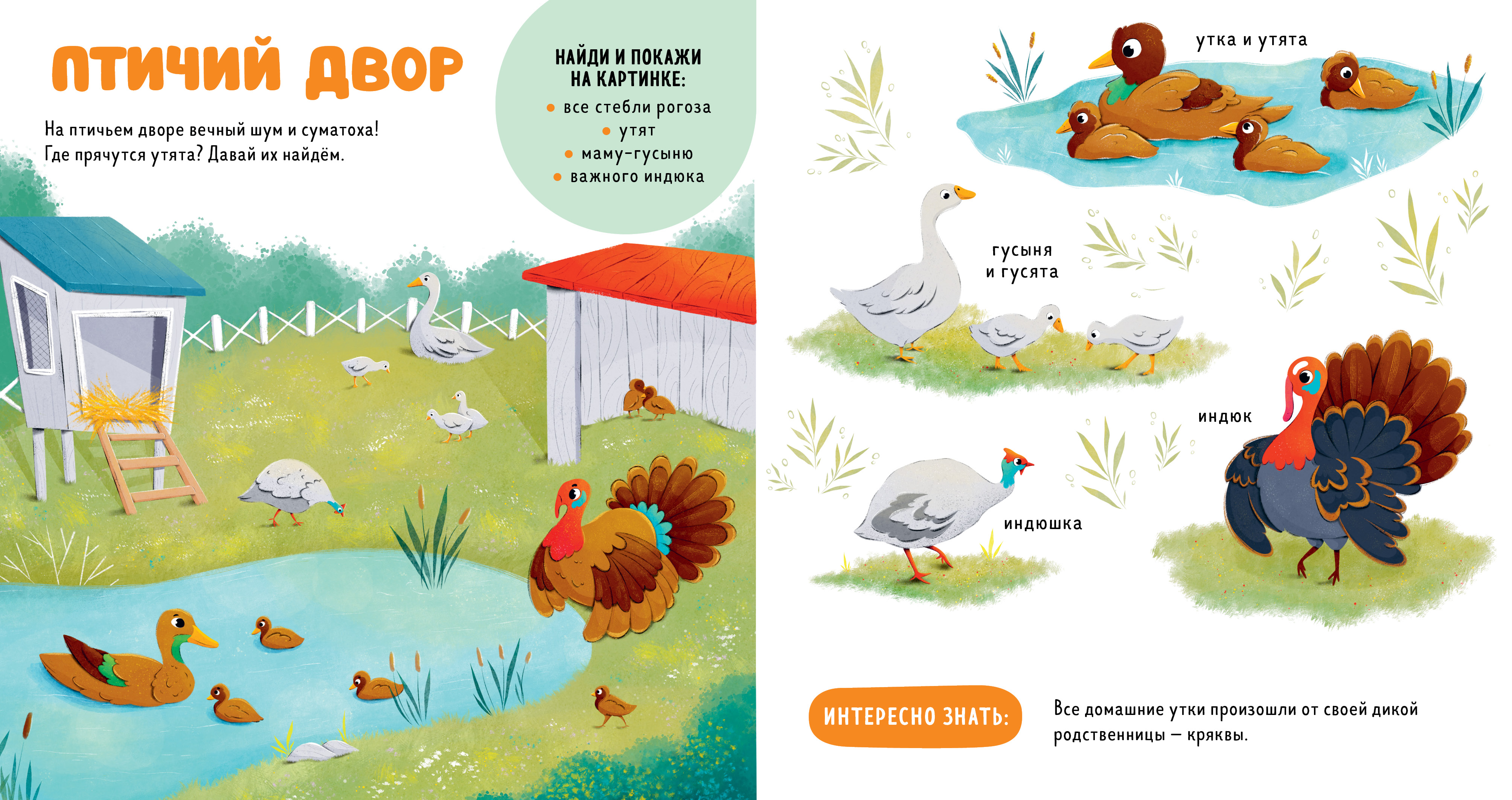 Главная книга малыша Clever Домашние животные - фото 6