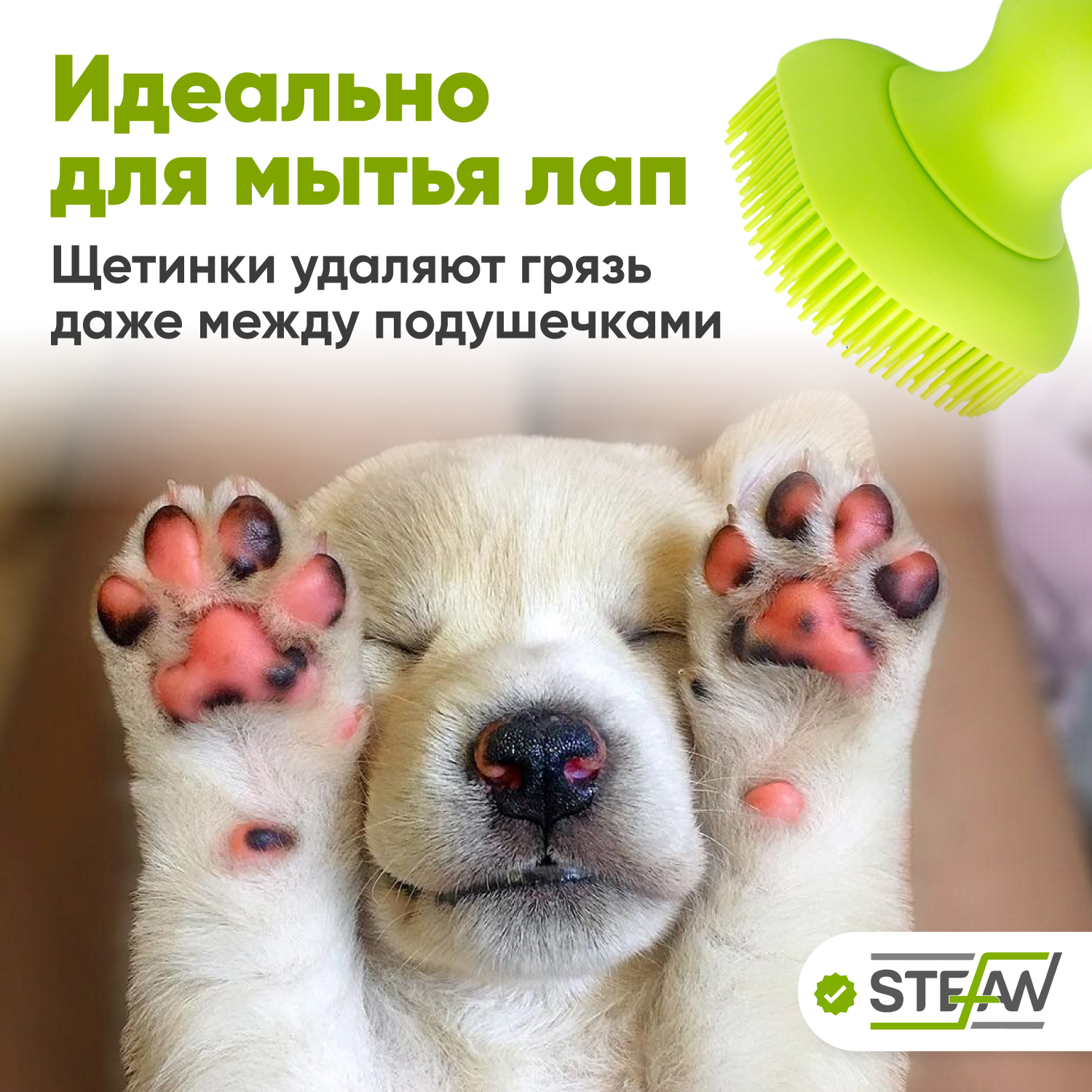 Массажная щетка Stefan для мытья животных с дозатором шампуня силиконовая салатовая - фото 2