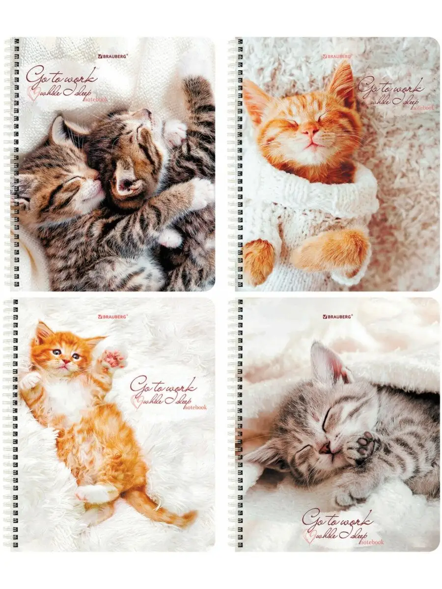 Тетрадь Brauberg клетка 96 лист. 4 шт. - фото 2