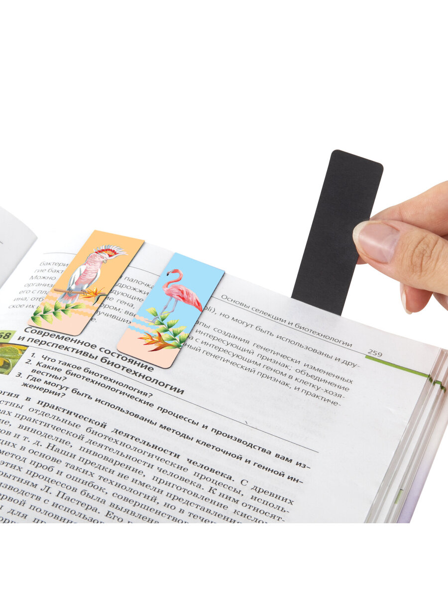 Магнитная закладка Brauberg - фото 9